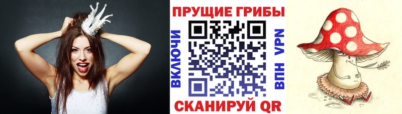 Купить закладки  Козловка  Псилоцибиновые грибы Psilocybe 